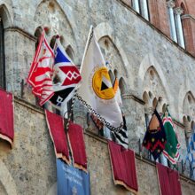 Siena, contrade flags