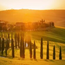 Crete Senesi hills