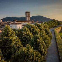 The city walls of Lucca